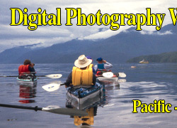 A Digital Photography Workshop - Pacific-Orcas, Johnstone Strait, British Columbia