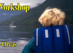 A Digital Photography Workshop - Pacific-Orcas, Johnstone Strait, British Columbia
